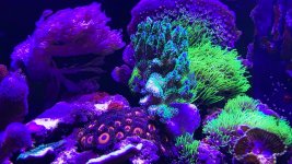 20560A2A-6854-428F-A177-9D3111AE9000.jpeg