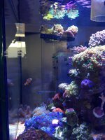 IMG_8365.JPG