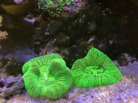 IMG_0602.jpeg
