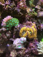 IMG_0600.jpeg