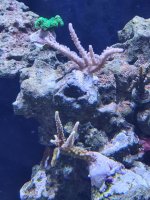 20201220_112351.jpg