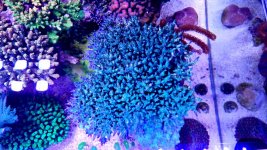 20210527_000317.jpg 20210527_000317.jpg