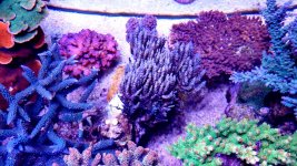20210527_000306.jpg 20210527_000306.jpg