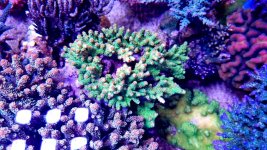 20210527_000301.jpg 20210527_000301.jpg