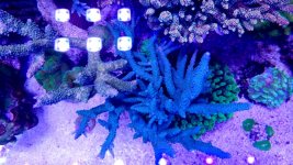 20210527_000249.jpg 20210527_000249.jpg