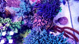 20210527_000321.jpg 20210527_000321.jpg