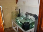 DSC00147.JPG