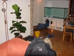 DSC00144.JPG