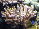 DSC01585.JPG
