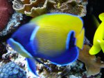 DSC01580.JPG