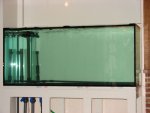 DSC00155.JPG