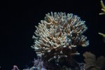 foto36.JPG