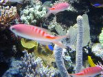 DSC01680.JPG