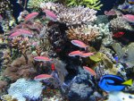 DSC01671.JPG