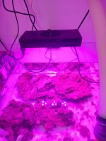 20210608_145638.jpg