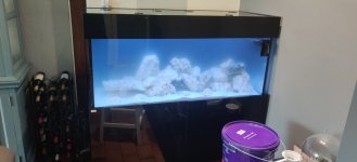 IMG_20210708_181449.jpg