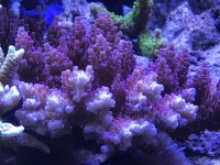 F16D5380-F0F8-456F-8D1D-DD134421C01D.jpeg