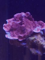 20210731_084250.jpg 20210731_084250.jpg