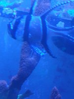 IMG_20210812_201222211.jpg