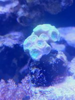 20210818_130637.jpg 20210818_130637.jpg