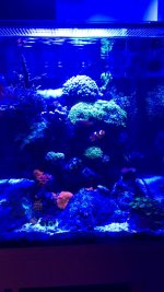 IMG_9360.JPG