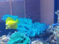 IMG_20210829_203918.jpg