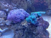 IMG_20210829_203942.jpg
