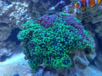 IMG_20210829_203935.jpg