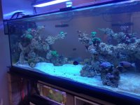IMG_20210829_193313.jpg