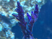 IMG_20210829_203829.jpg