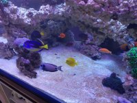 IMG_20210902_114039.jpg