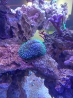 IMG_20210902_112855.jpg