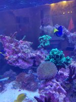IMG_20210912_160039.jpg