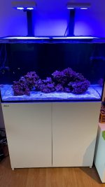 IMG_9849.jpg