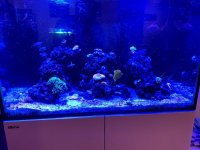 IMG_9155.jpg