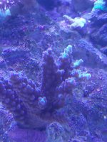 IMG_20211010_153239.jpg