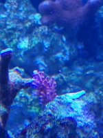 IMG_20211010_153308.jpg