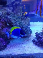 IMG_20211007_201056.jpg