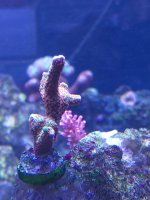 IMG_20211011_173502.jpg