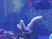 IMG_20211011_173635.jpg