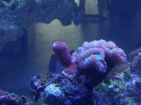 IMG_20211011_173806.jpg