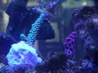 IMG_20211011_174037.jpg