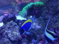 IMG_20211011_174216.jpg
