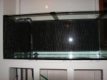 DSC00157.JPG