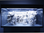 aquarium-1.png