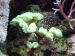 DSC03834.JPG