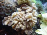 DSC03849.JPG