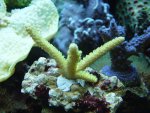 DSC03851.JPG