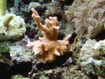 DSC03859.JPG