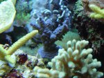 DSC03860.JPG